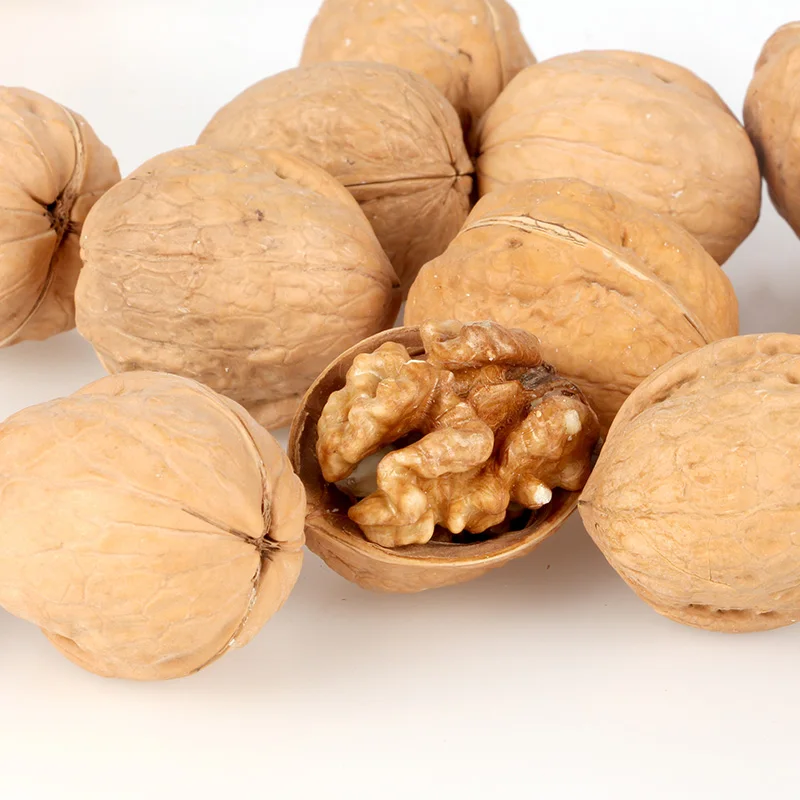  AGOLYN Top Grade Thin Skin Raw Walnuts with Shell Packaging Food Organic Feature Origin Type