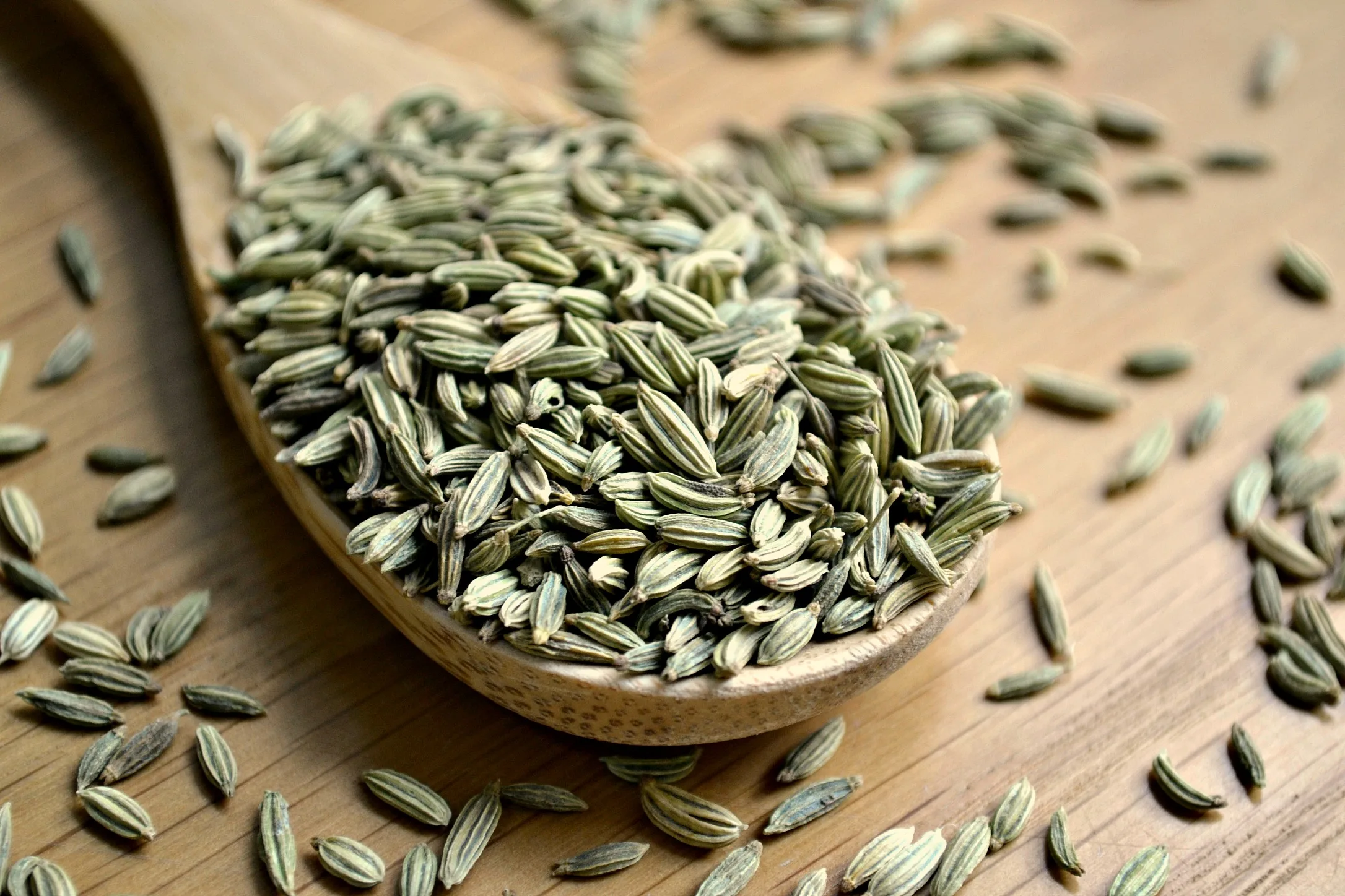 
Reasonable price Fennel Seed with Good Price for Exports 
