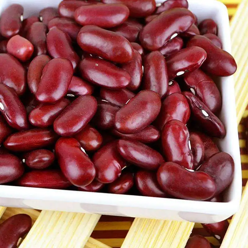 High Nutritious Red Beans Cheap British Red Kidney Beans for Sale