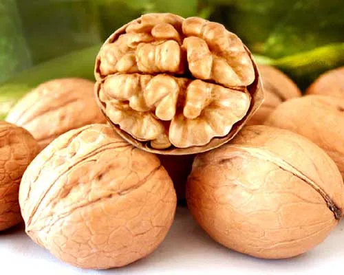 Best quality raw thin skin healthy walnuts unwashed Wholesale paper shell walnuts for cheap sale