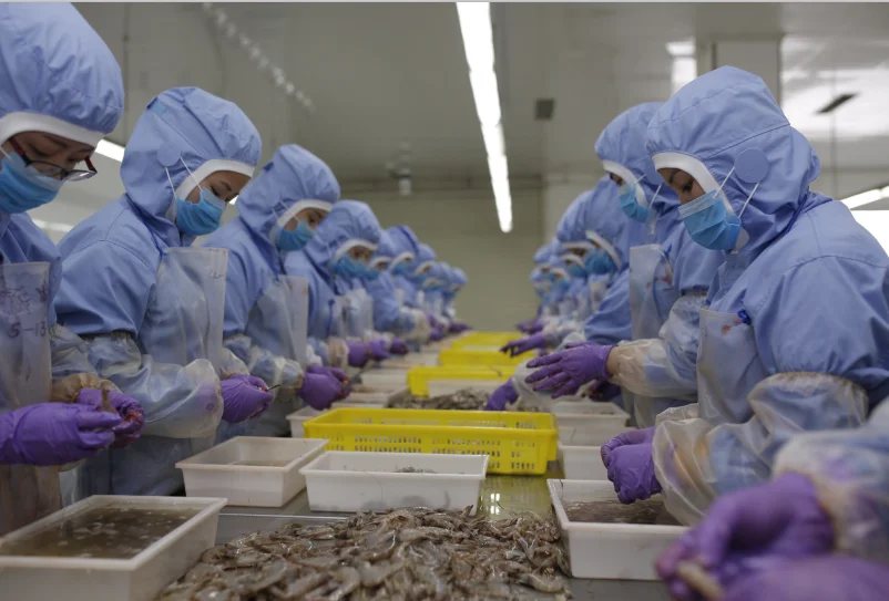 
Bulk Wholesales Cheap Price Seafood Cooked Crayfish Braised 