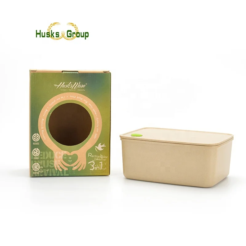 Wishome popular storage plastic food storage container with lid