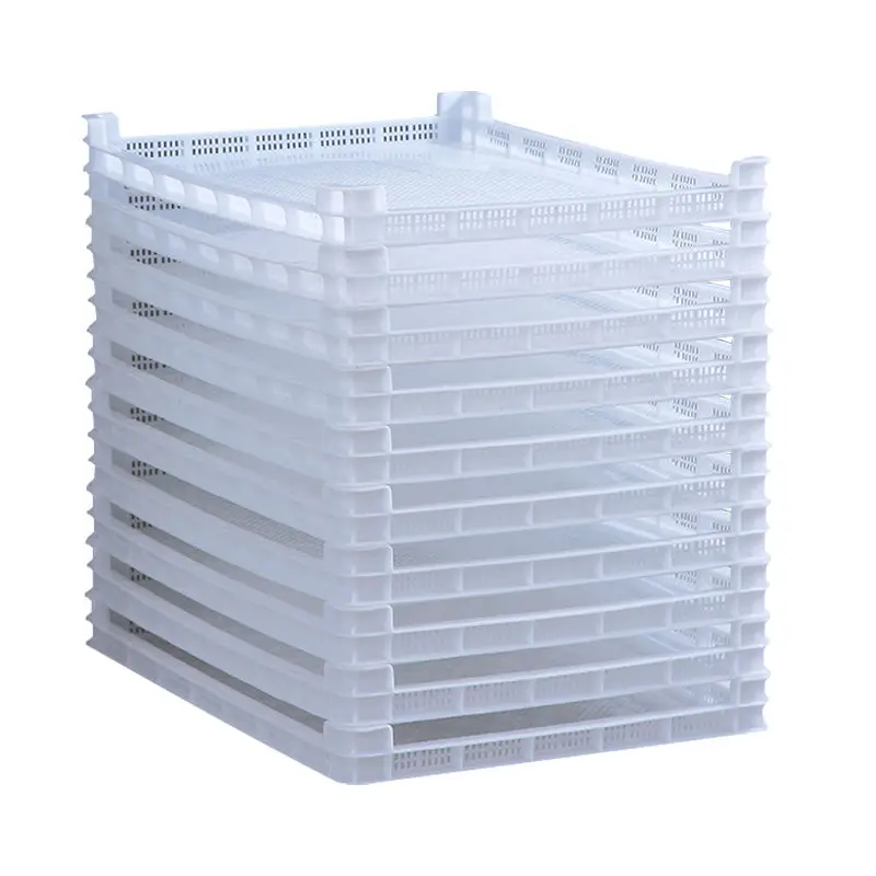 High quality Widely used drying with tray dry fruit white tray for drying pasta Spaghetti nuts
