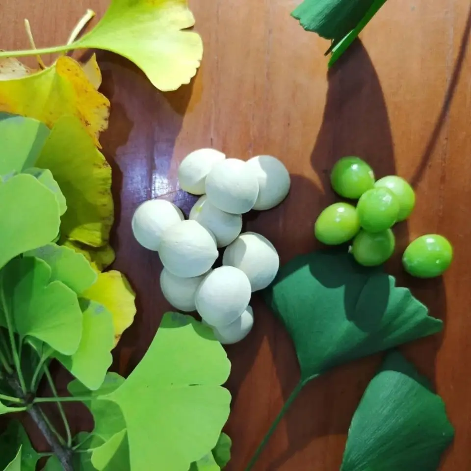 2023 Supplier lot occurrence of ginkgo white kernel unbleached wild ginkgo fruit