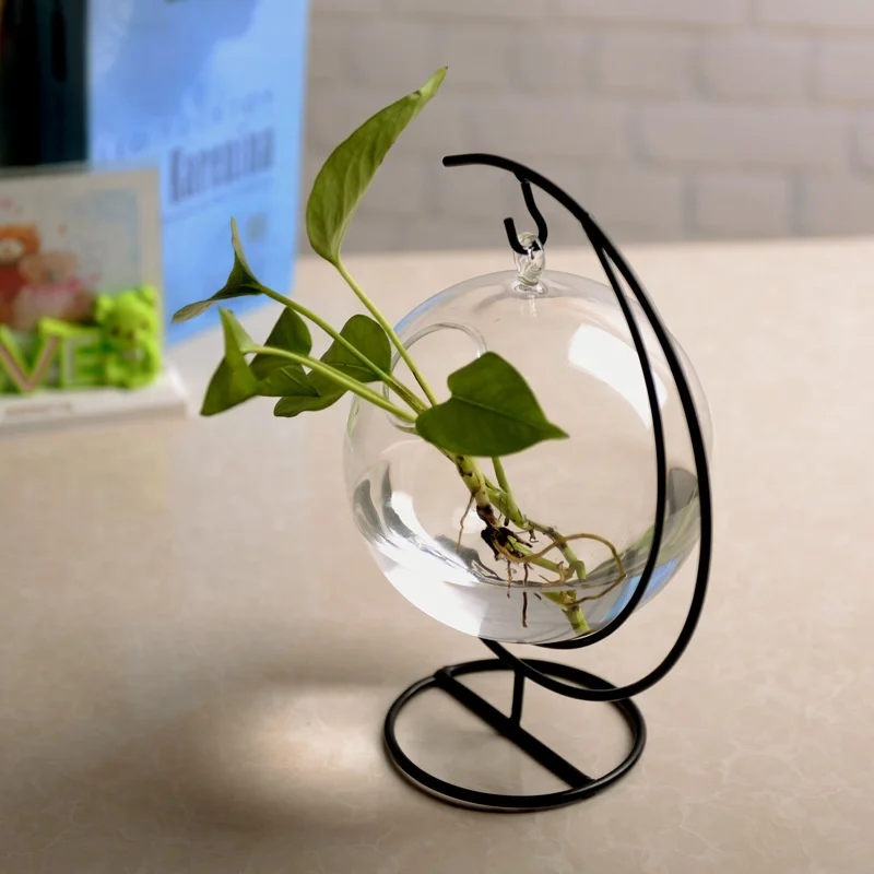 Transparent glass bottles fish tank hanging hydroponic glassware decorative vase for home decor