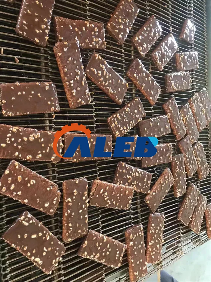 Professional chocolate enrobing equipment peanut sugar bread donut coating machine