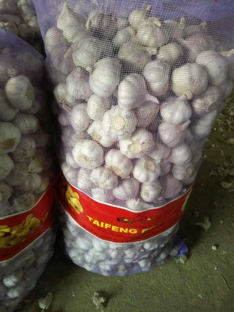 2021 new crop 5.5cm 5kg mesh bag packing pure white garlic