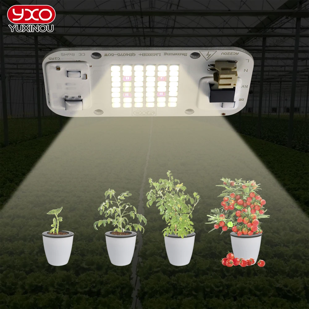 DIY гидропоники DOB с регулируемой яркостью LED Grow Light 660nm вход 220 В переменного тока 50 Вт lm283b для комнатных растений выращивания и цветок COB чип