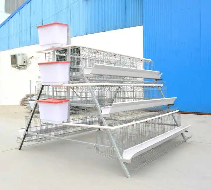 Favorable Price A Type Chicken Cage Wire Mesh Broiler Bird Breeding Cages for Chicken