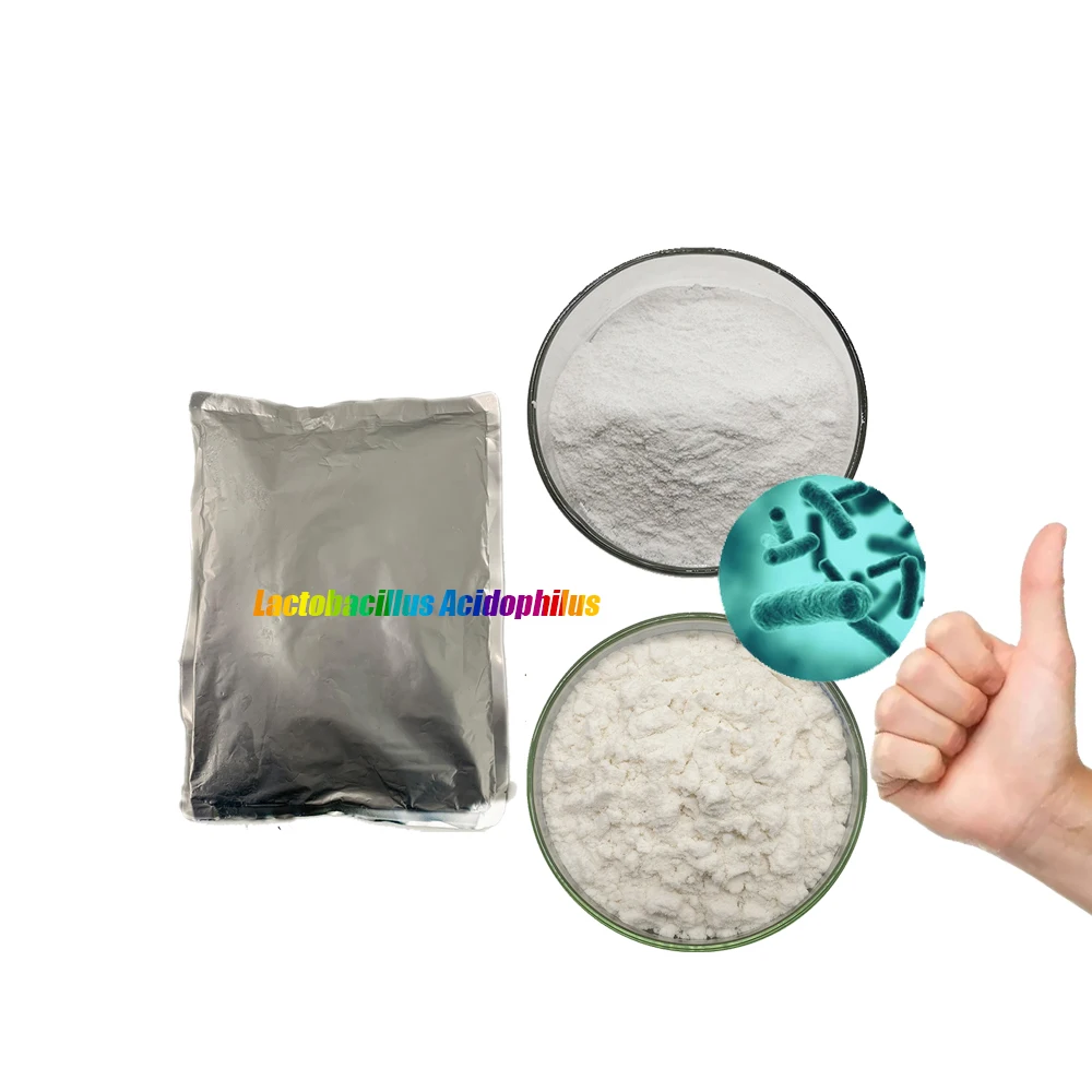 Food grade Freeze dried probiotics powder of Lactobacillus acidophilus and L. acidophilus for probiotic dietary supplements