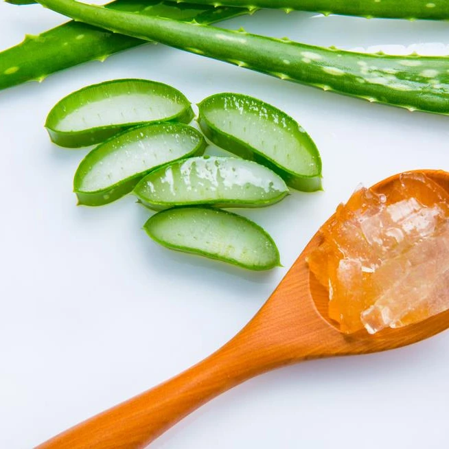 Well-known plant healing benefits made in China medicinal properties aloe vera extract powder
