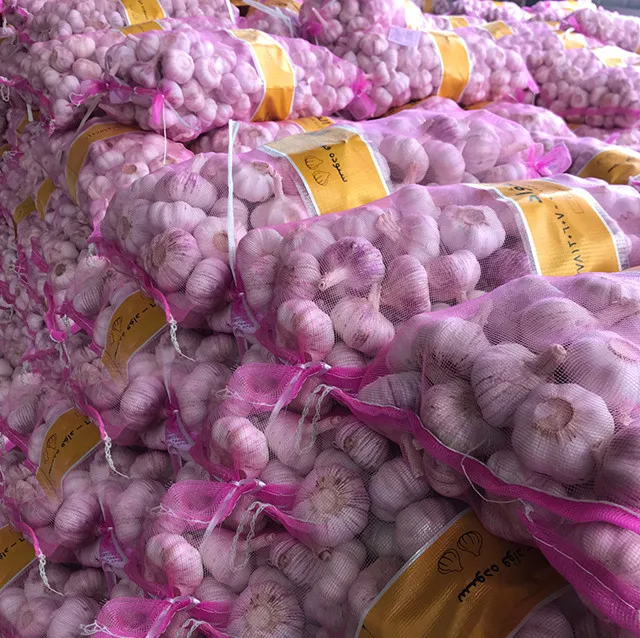 Where To Buy Wholesale Chinese Price Garlic Kating