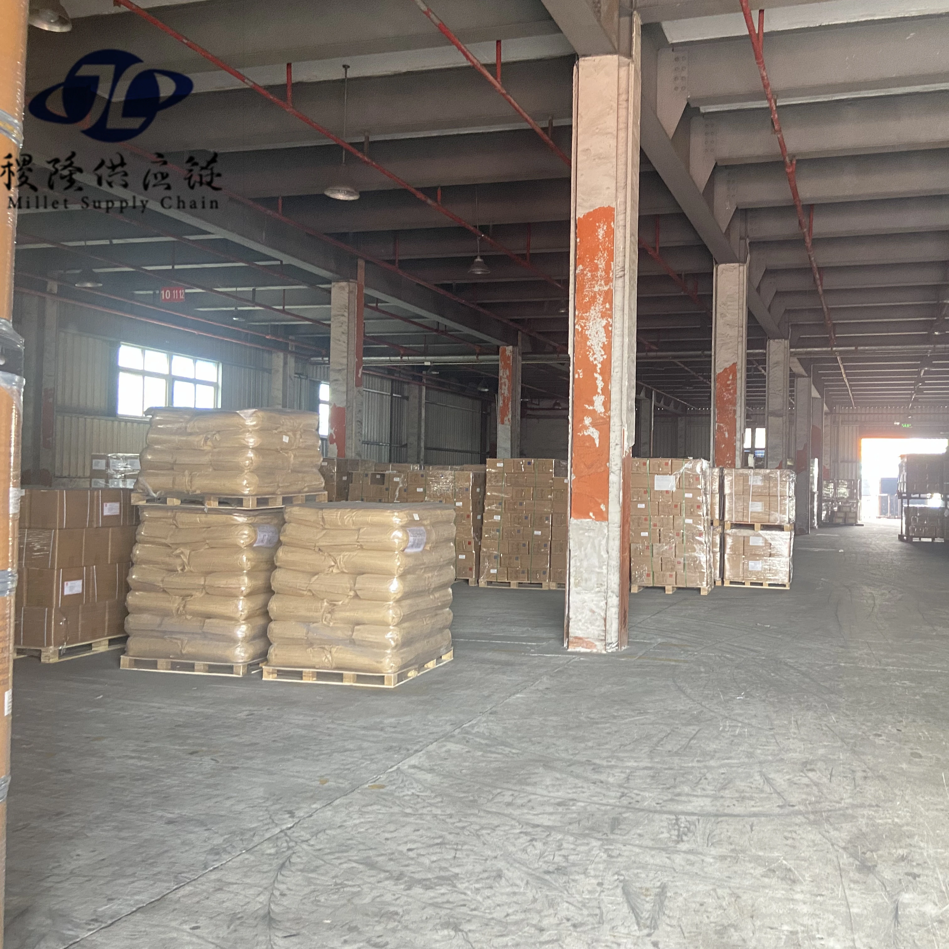 Professional and Cheapest Sea Shipping Agent Freight Forwarder  Shipping Company  Shipping Agent From China To USA