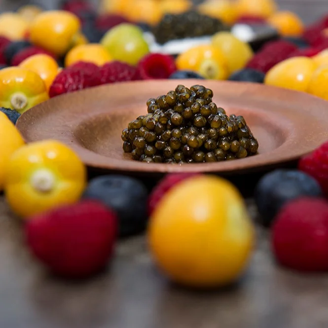 Healthy 1.8kg Beluga salmon roe caviar