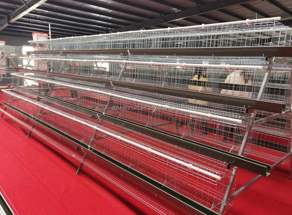 Commercial chicken cage for layers poultry farming zambia layer poultry farm chicken cage for sale 500 chicken egg layer cages