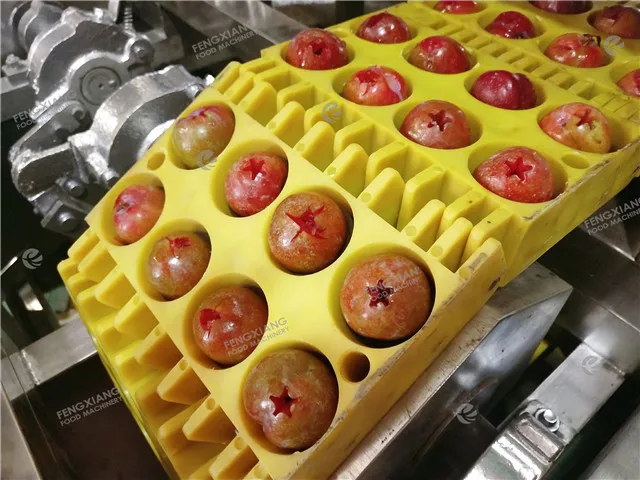 CL-I Apricot Coring Machine Stoner Litchi Prune Plum