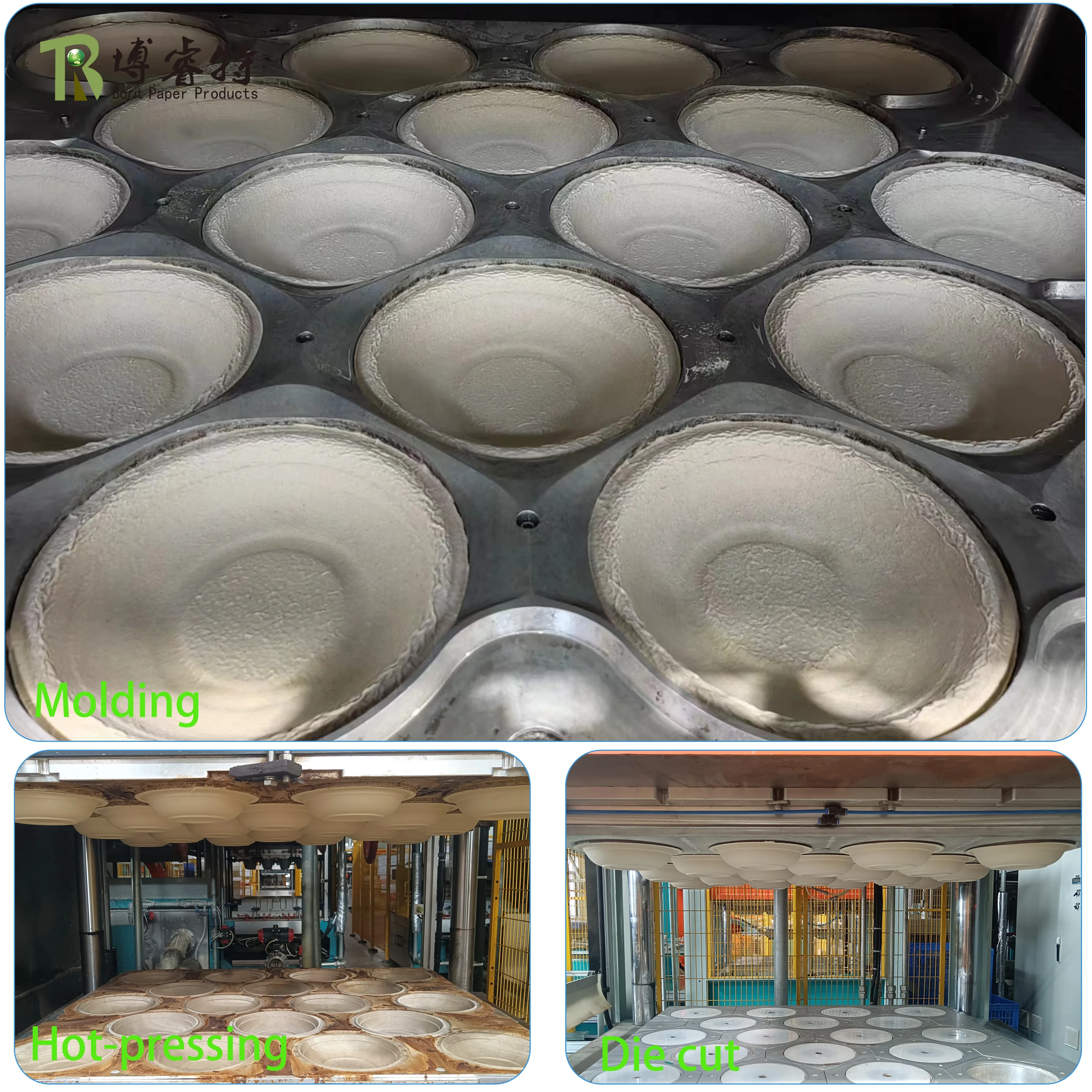 Health First Choice Takeaway Natural  100% Biodegradablesugarcane Bagasse Clamshell Box Disposable Food Containers