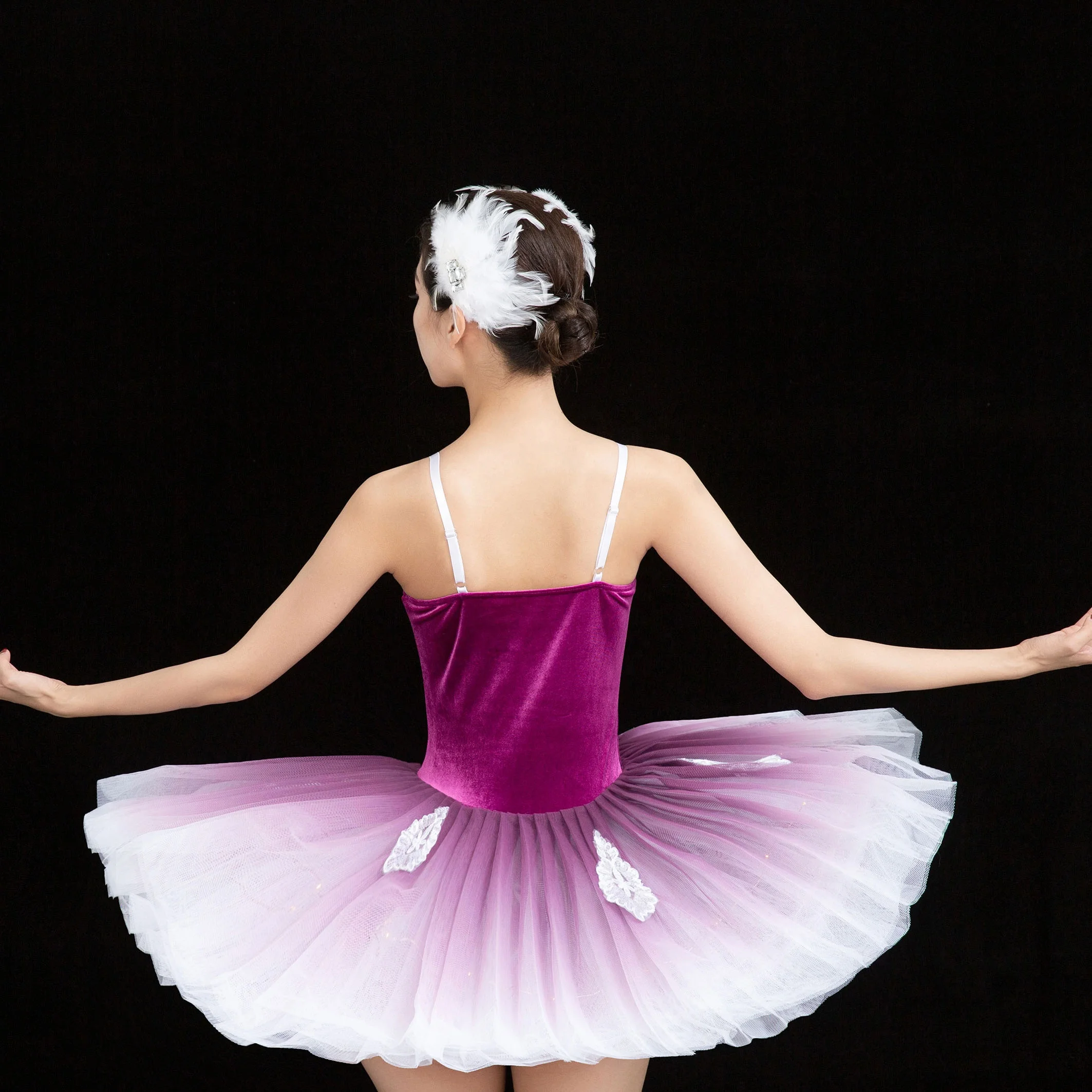 Swan Lake Ballet Dress purple Fluffy stage performance Dance Costume Embroidery  applique Tutu Dresses Training Dancewear