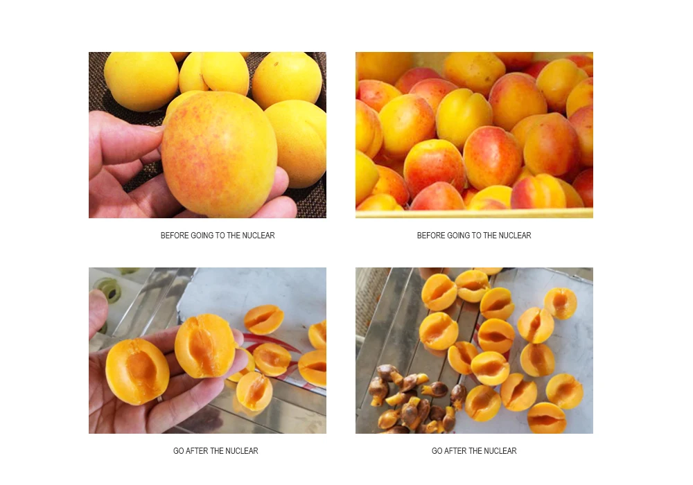 fruit cutting pitting machine apricot processing equipment