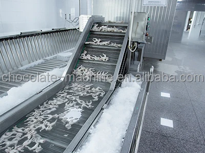 quick freezer tunnel machine belt conveyor vegetable fruit fish seafood meat beef freezer