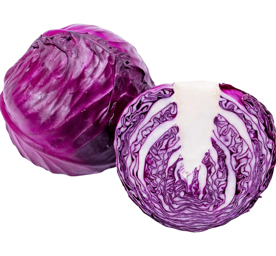 Новый сезон 2021, экспортер свежих овощей с международной сертификацией, свежая фиолетовая капуста