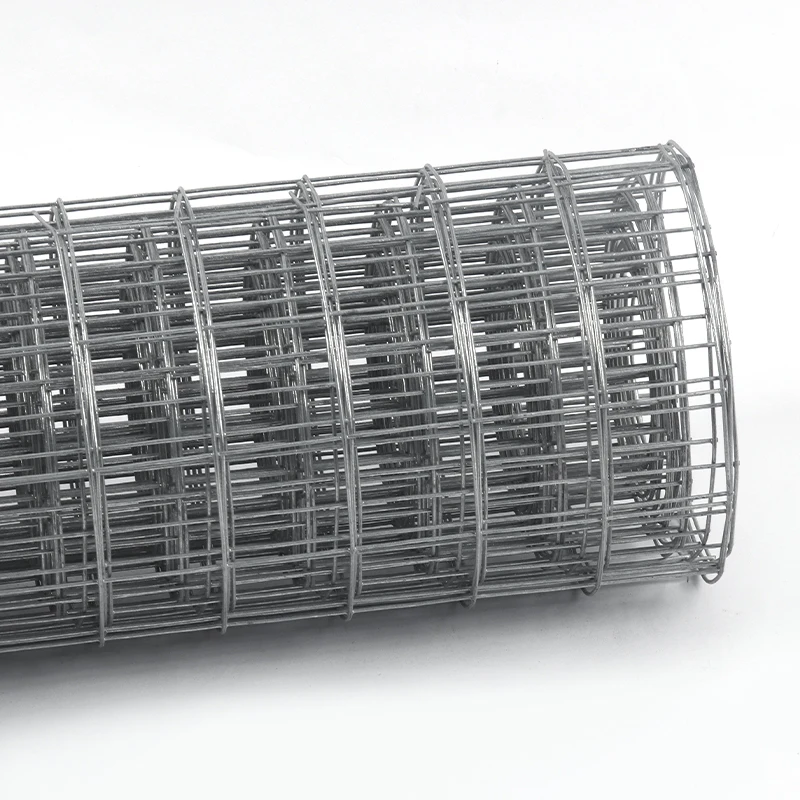 Galvanized steel best price welded wire mesh galvanized roll and panels 5x5 price rabbit cage