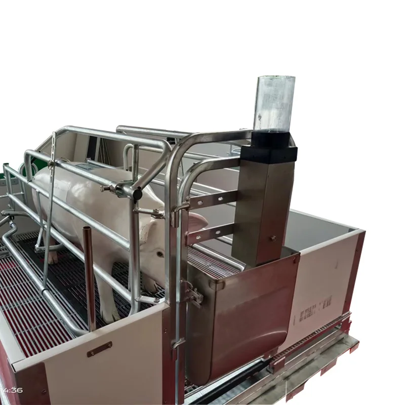 Wholesale price pig farrowing crate Pig Cage Farrowing Crate For Sow Sow Elevated Farrowing Crate
