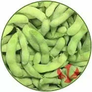 New Arrival Delicious Beans Edamame Gourmet Dietary Fibre Richness in
