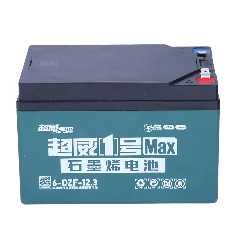 Electric Car/Scooter/Tricycle/Motorcycle 48V Lead-Acid and 24V Li-Ion Battery Pack 20Ah Nominal Capacity for 1000W Motor