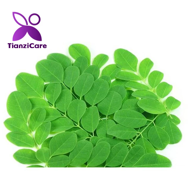 Фирменный порошок с экстрактом сушеных листьев Моринги антиоксидантная энергия иммунитет для лапши чай похудения пищевая добавка здоровья