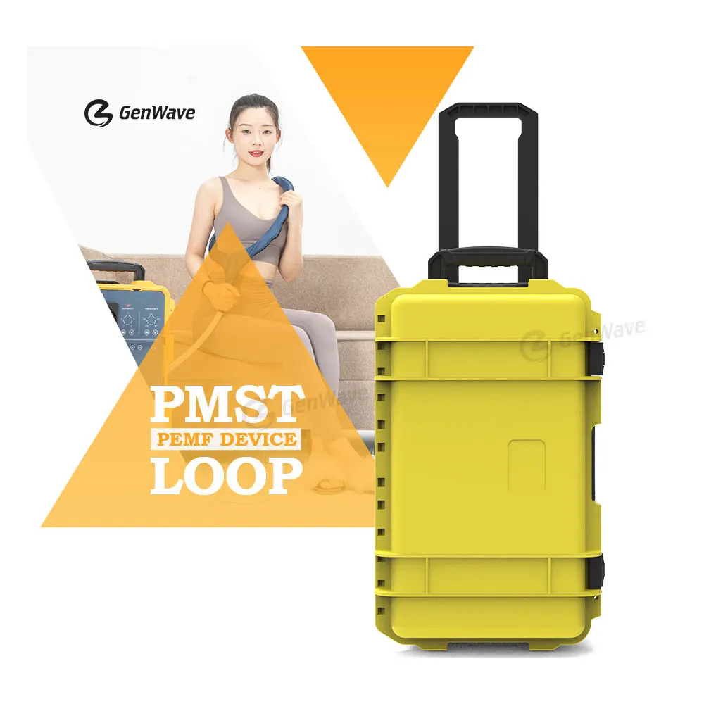 New Product PEMF Machine PMST LOOP For Human Rehabilitation Help Bone Repair Pain Relief