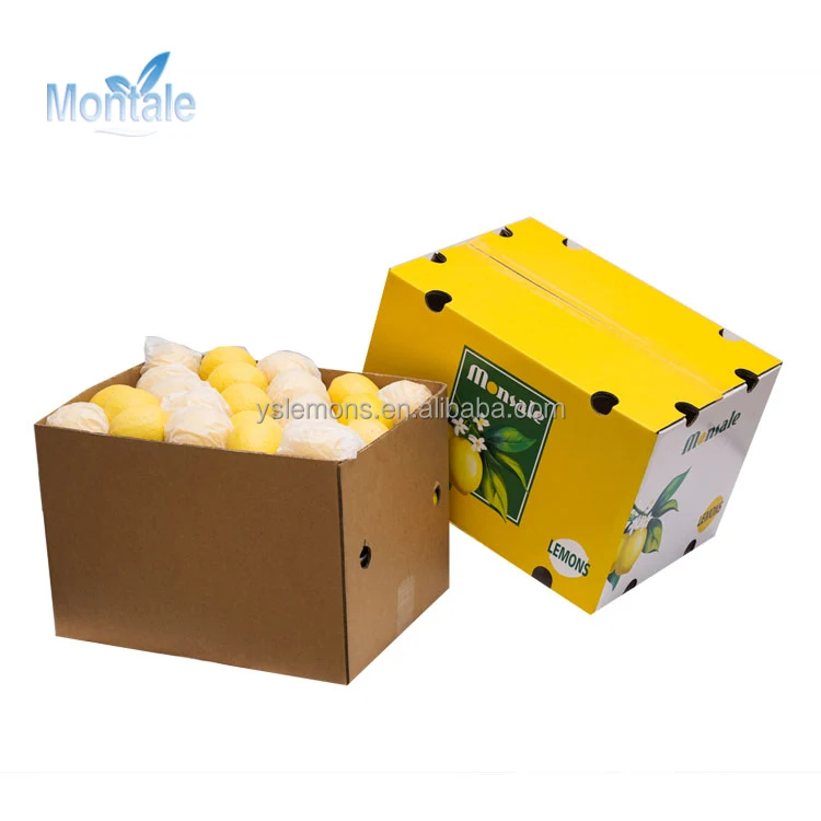  Свежий лимон высокого качества от Anyue Lemon