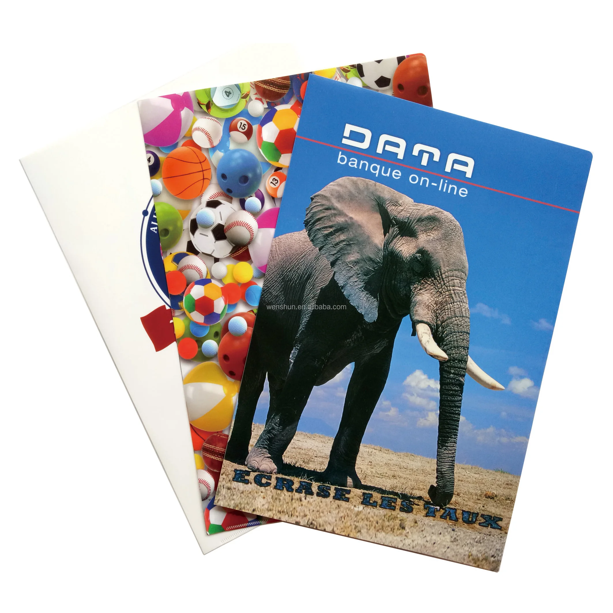 Newest Design Top Grade Custom Printing L Shape File Folder with Back Pocket