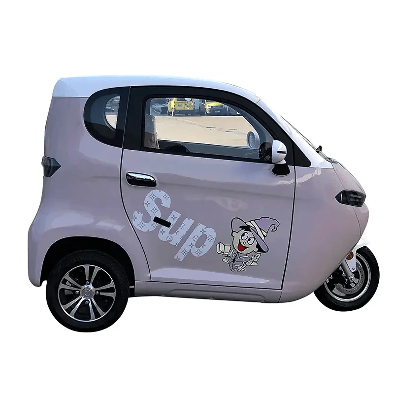 Elderly People Take Electric Moped Three Wheel Taxi Tricycle Kabinenroller EEC COC Fully Enclosed Cabin Scooter Adult 3000w