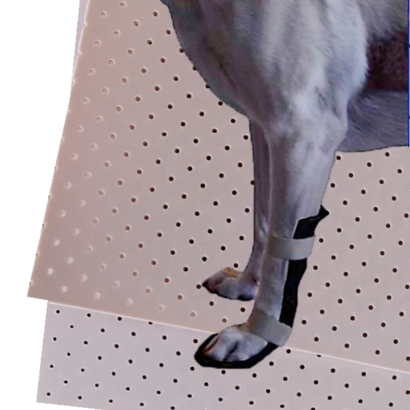 Low Temperature Thermoplastic Splinting Solutions Pet Dog Cat Leg Fracture Rehabilitation Orthopedics Cervical Collar