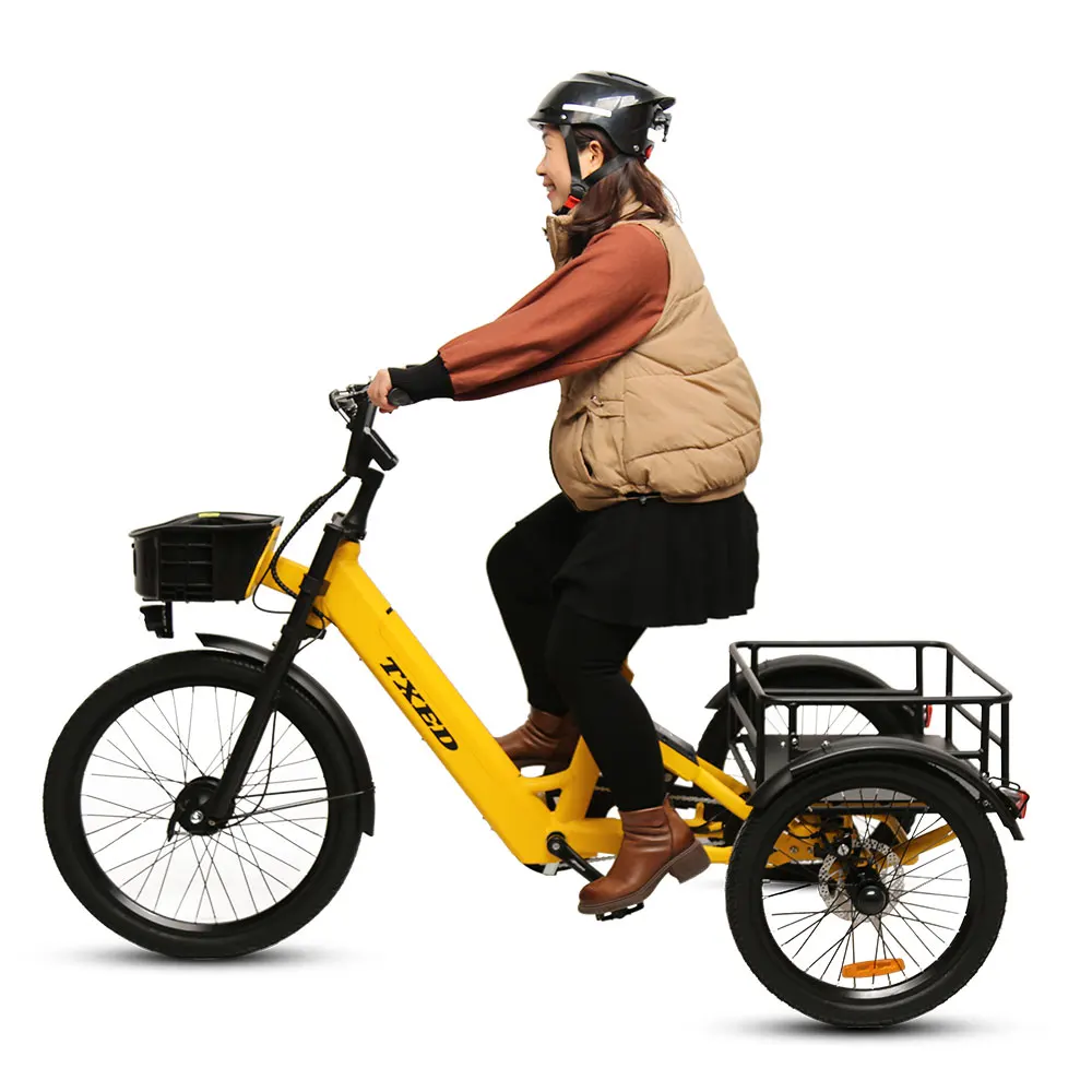 TXED 36V 250W Electric sharing cargo bike Single Speed Electric shared tricycle for adult