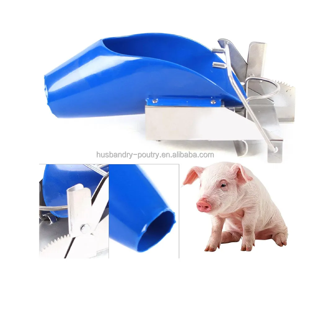 Piglet castration tool of Stainless steel pig equipments with Colourful plastic cement