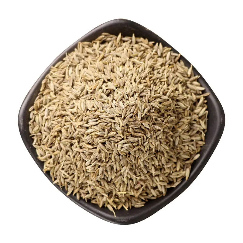 Cuminum Seeds 100% Natural Dried Cumin