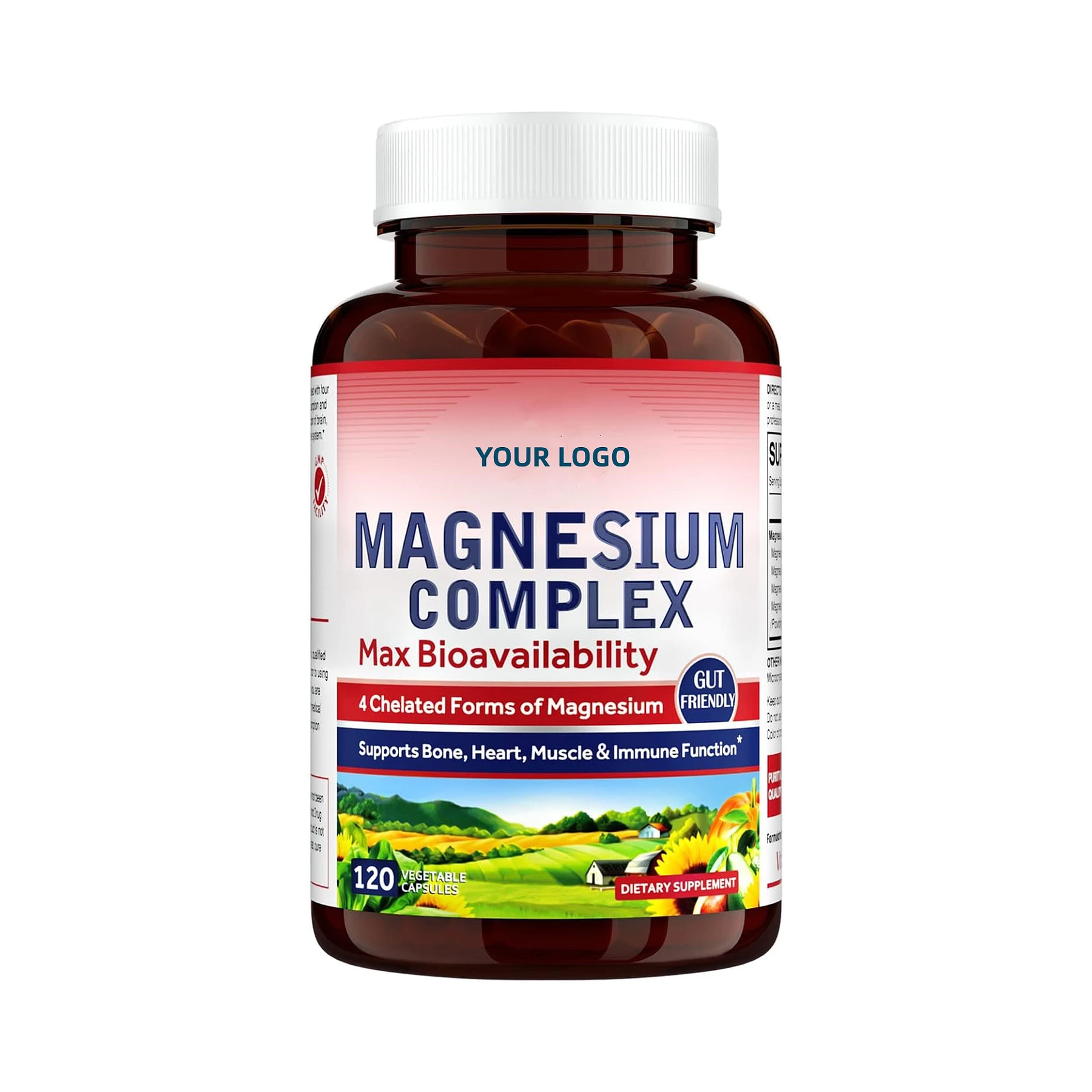OEM Magnesium Complex Magnesium Glycinate, Malate, Taurate & Citrate, Chelated Forms for Bone, Heart, Muscle, Private Label