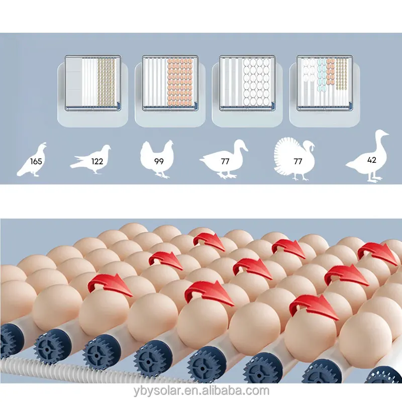 Dual Dower Supply Automatic  36 High performance automatically turning egg 36 eggs incubator \/36 eggs incubator