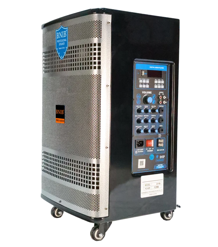 Pro Portable Big Size Speaker Wireless Trolley 15 INCH Loudspeaker Outdoor Stage Big Power 1000W Boombox Blue-tooth TF card