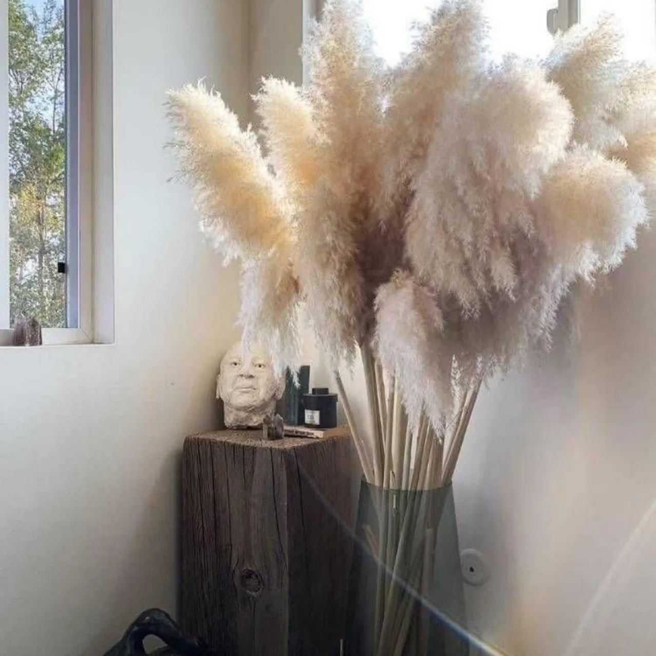 Pampas for Flower Arrangements Home Decor Grass Minimalist Decor Farmhouse Decor Natural Dried Flower Boho Easter 150cm 200cm