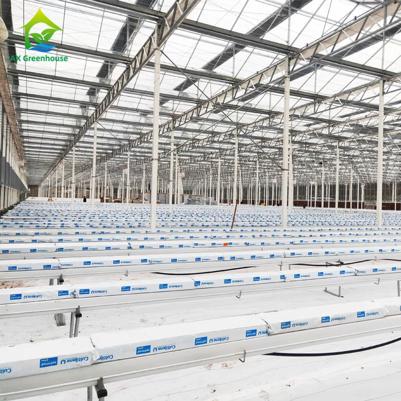solar power hydroponic fodder growing system with sprinkler