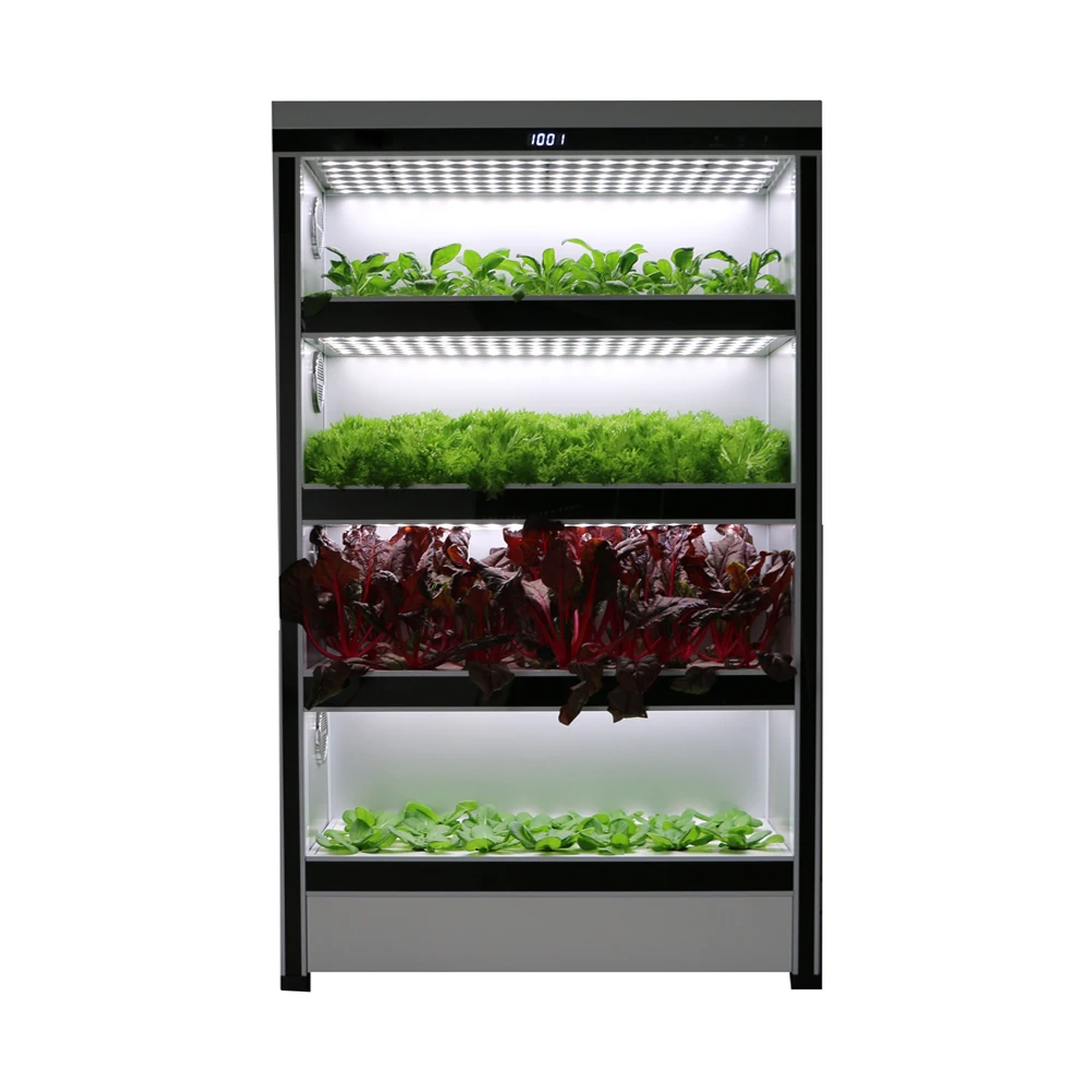 New Product Ideas Intelligent Inventory Commercial Aquaponics Farms Growing Systems