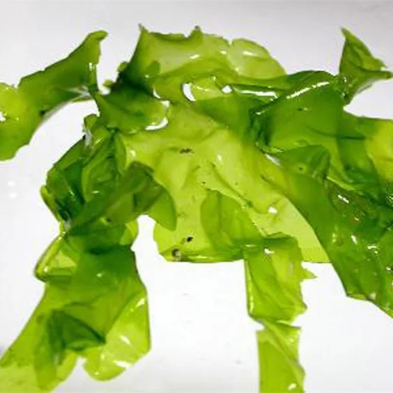 Морские водоросли ulva, морской салат ulva, Жареная мука