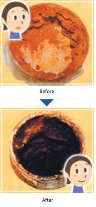 Japan catalyst waste gas system purification water industrial