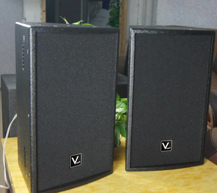 VT5100 music equipment recording studio equipment speaker stage wedding bar project anti-listen and return-listen meeting room