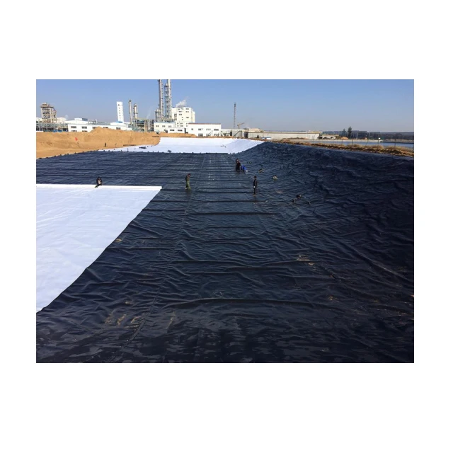 Price 1mm 2mm waterproof geo membrane plastic artificial lake tank dam lining swim pool fish pond farm liner HDPE geomembrane