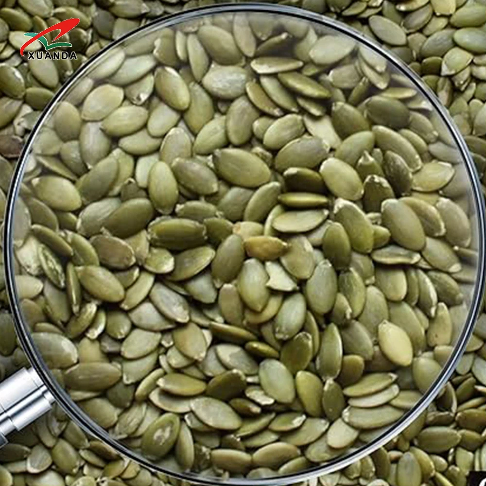 New Crop Organic GWS Pumpkin Seeds Kernels Wholesale Supplier Shine Skin Pumpkin Kernels Wholesale Price