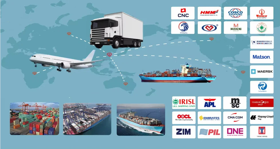 paste-pic-dp_uuid_eexgr